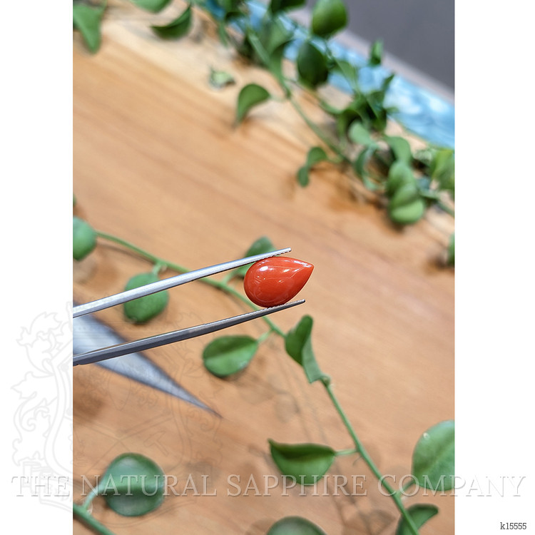 3.29 Ct. Cabochon Coral from Italy