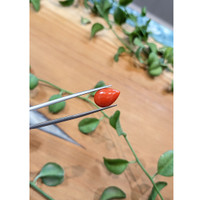 3.29 Ct. Cabochon Coral from Italy Life Style