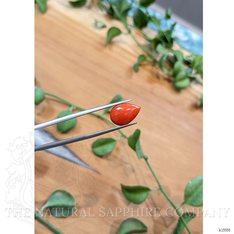 3.29 Ct. Cabochon Coral from Italy