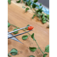 1.21 Ct. Cabochon Coral from Italy Life Style