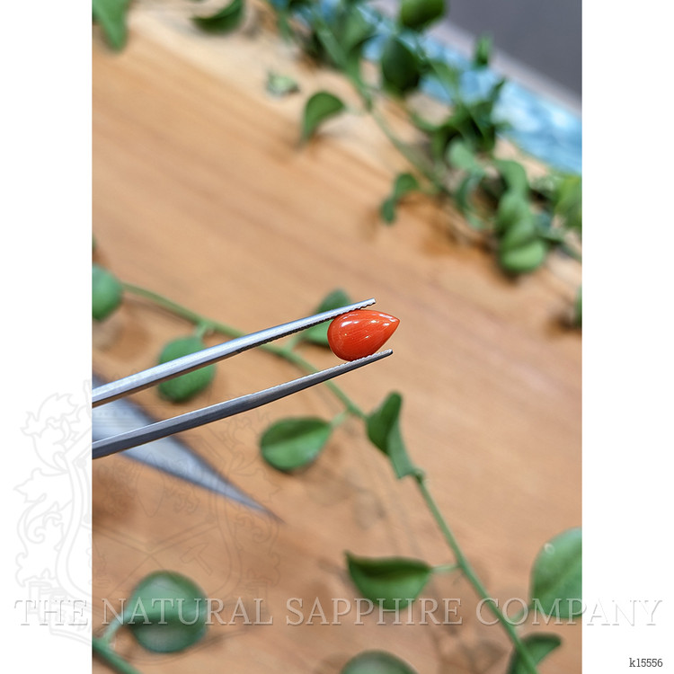 1.21 Ct. Cabochon Coral from Italy