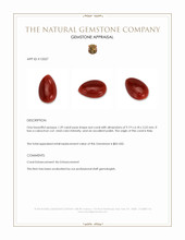 1.39 Ct. Oxblood (Red) Cabochon Coral from Italy Appraisal