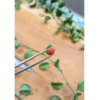 1.39 Ct. Cabochon Coral from Italy Life Style