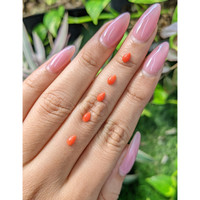 114.21 Ct. Cabochon Coral from Italy Life Style