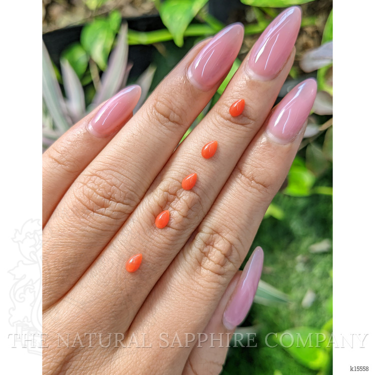 114.21 Ct. Cabochon Coral from Italy