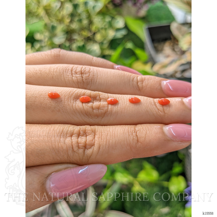 114.21 Ct. Cabochon Coral from Italy