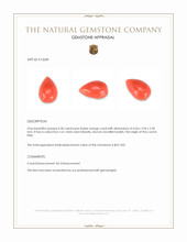 0.36 Ct. Cabochon Coral from Italy Appraisal