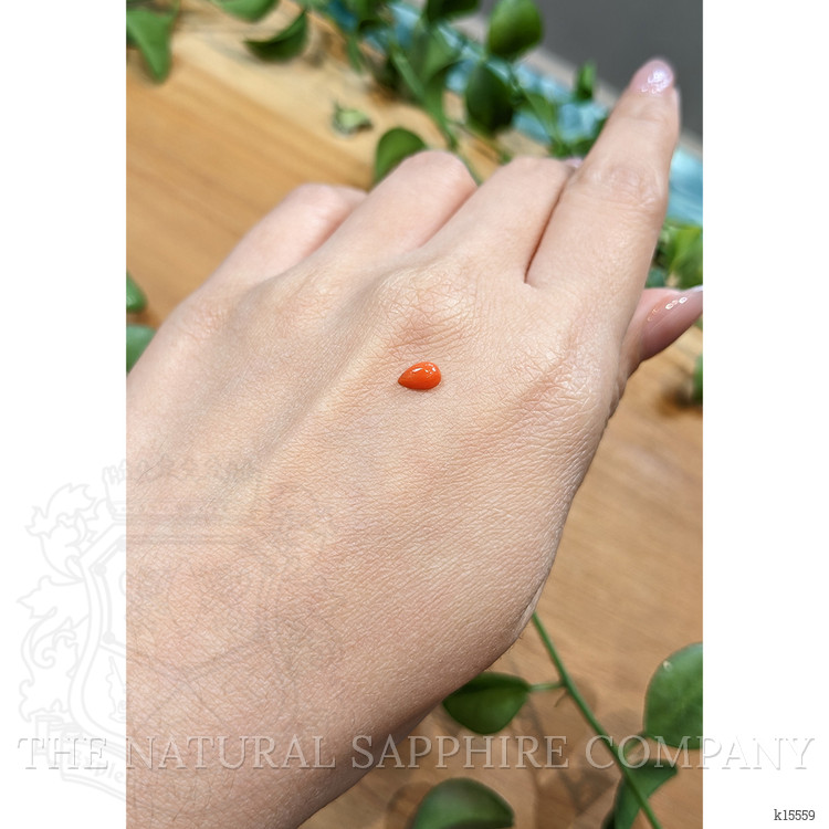 0.36 Ct. Cabochon Coral from Italy