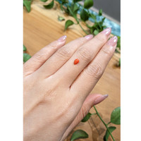 0.36 Ct. Cabochon Coral from Italy Life Style