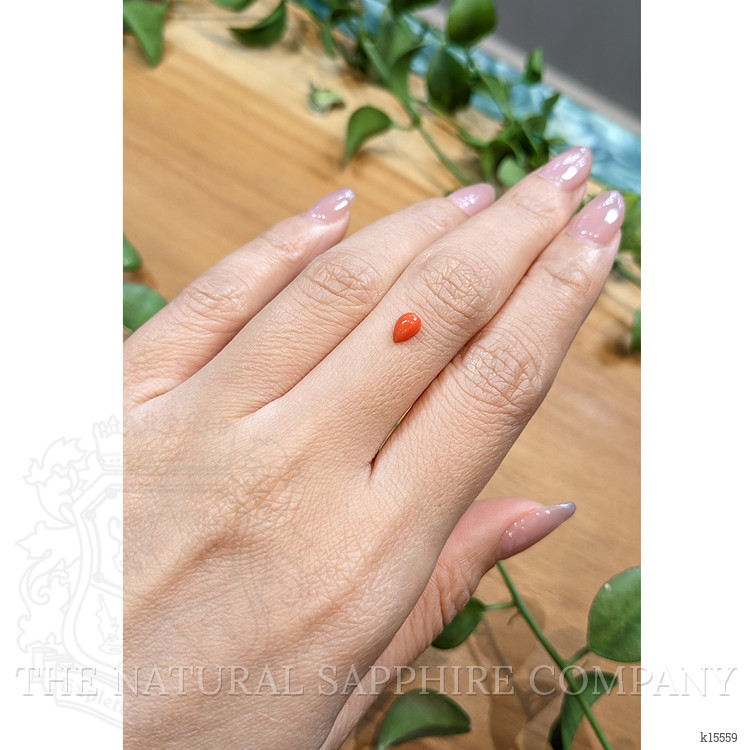 0.36 Ct. Cabochon Coral from Italy
