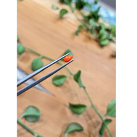 0.36 Ct. Cabochon Coral from Italy Life Style