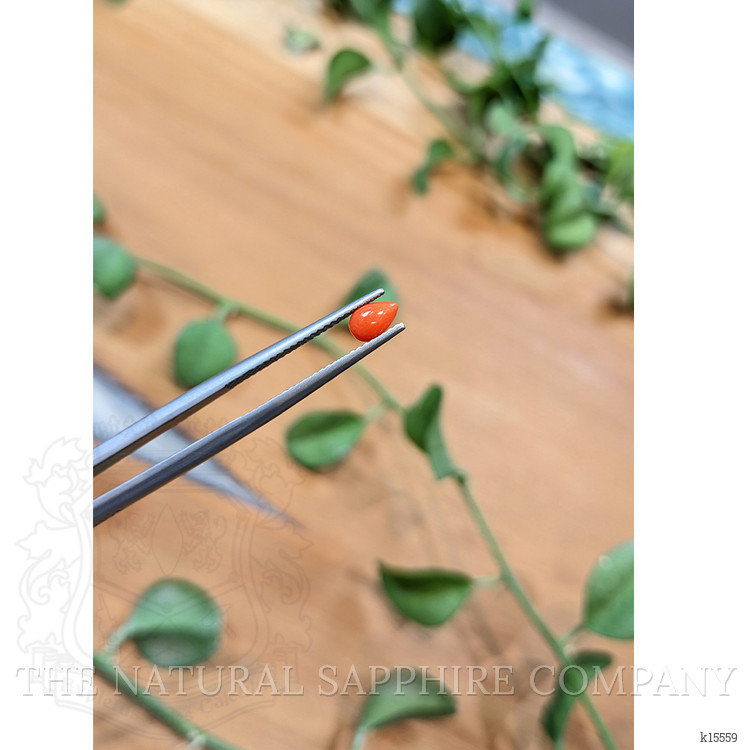 0.36 Ct. Cabochon Coral from Italy