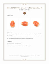 1.41 Ct. Cabochon Coral from Italy Appraisal
