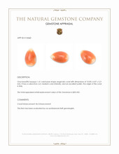 1.41 Ct. Cabochon Coral from Italy Appraisal