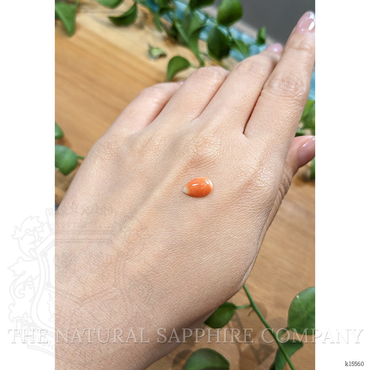 1.41 Ct. Cabochon Coral from Italy