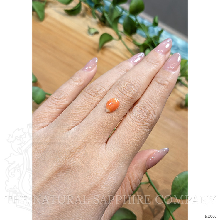 1.41 Ct. Cabochon Coral from Italy