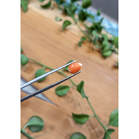 1.41 Ct. Cabochon Coral from Italy Life Style