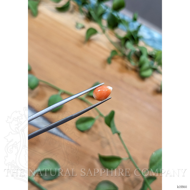 1.41 Ct. Cabochon Coral from Italy