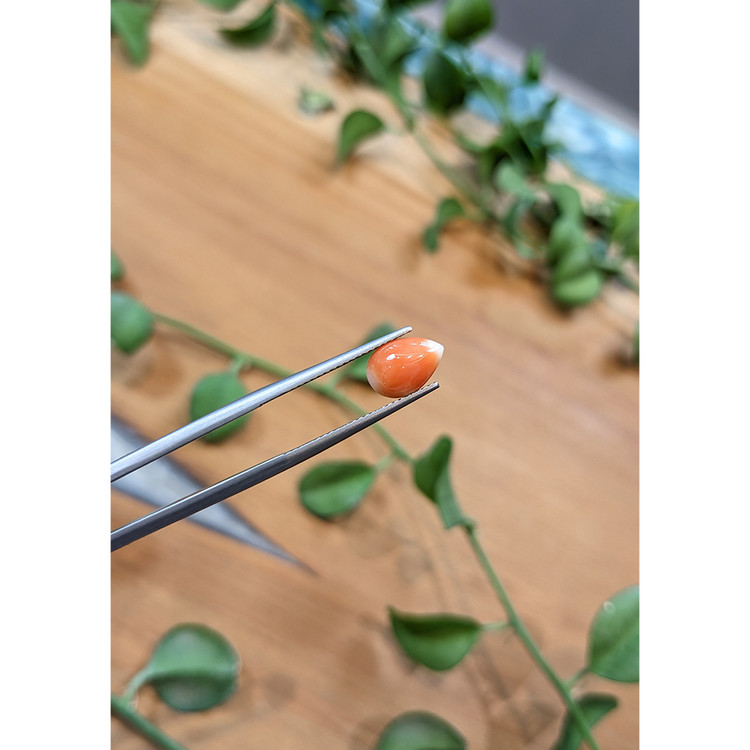 1.41 Ct. Cabochon Coral from Italy