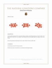 35.29 Ct. Cabochon Coral from Italy Appraisal