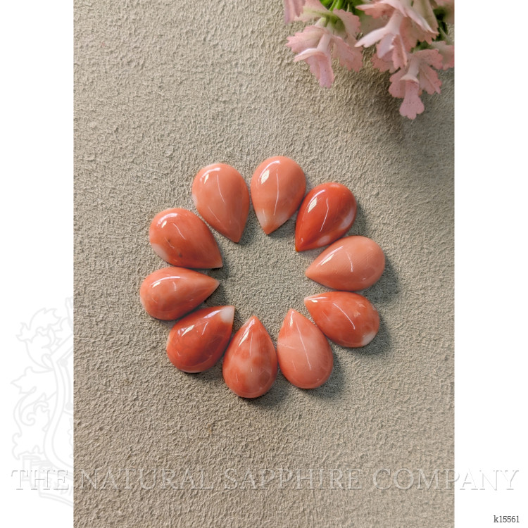 35.29 Ct. Cabochon Coral from Italy