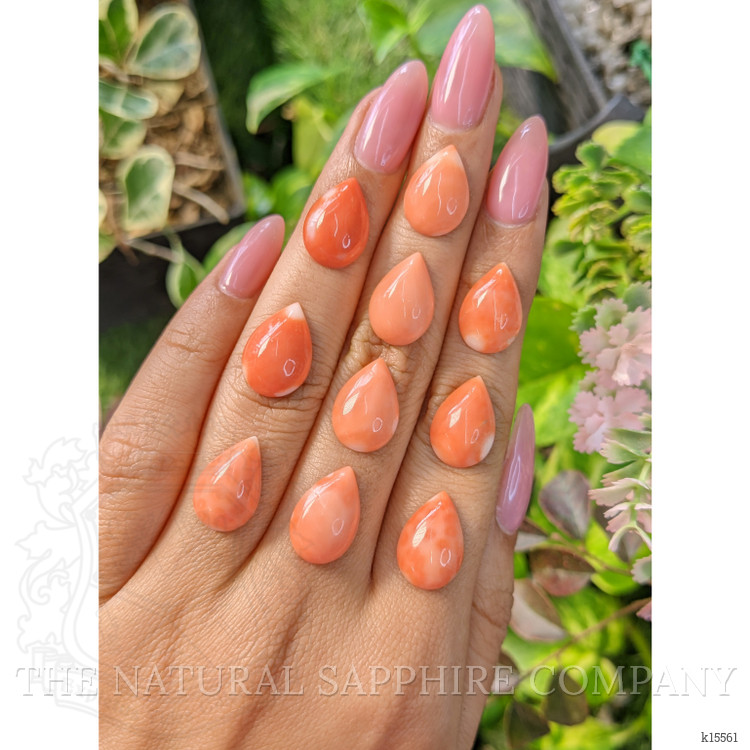 35.29 Ct. Cabochon Coral from Italy