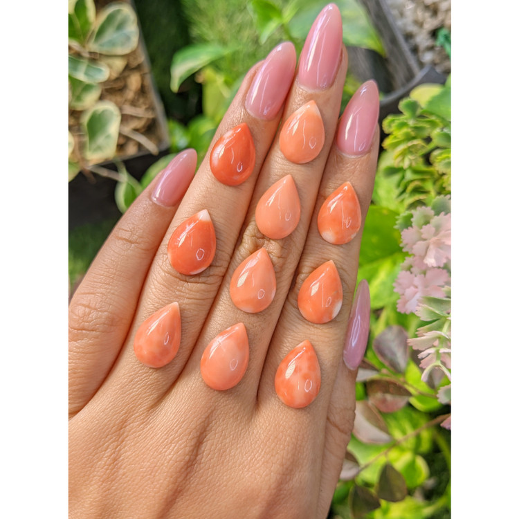 35.29 Ct. Cabochon Coral from Italy