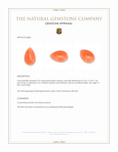 0.25 Ct. Salmon (Orange) Cabochon Coral from Italy Appraisal
