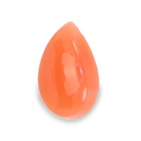 0.25 Ct. Cabochon Coral from Italy Video