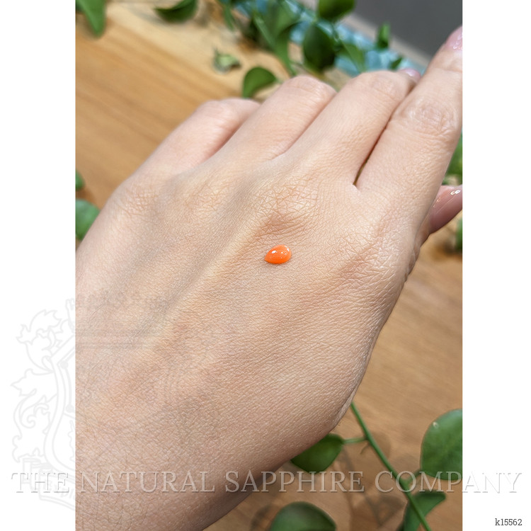 0.25 Ct. Cabochon Coral from Italy