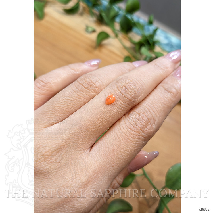 0.25 Ct. Cabochon Coral from Italy