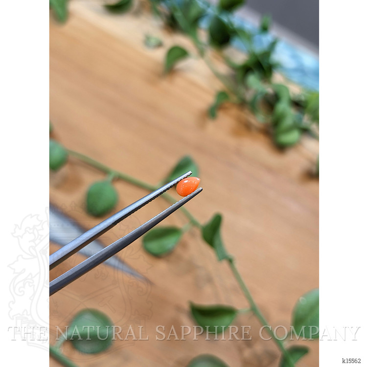 0.25 Ct. Cabochon Coral from Italy