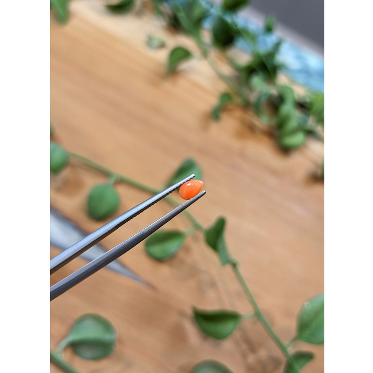 0.25 Ct. Cabochon Coral from Italy