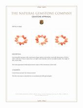 6.80 Ct. Cabochon Coral from Italy Appraisal