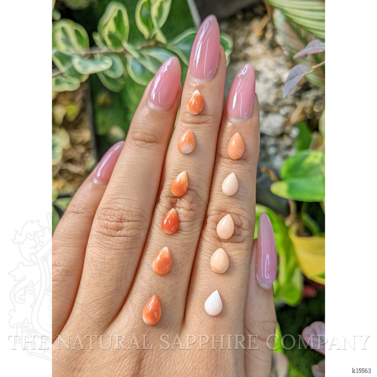 6.80 Ct. Cabochon Coral from Italy