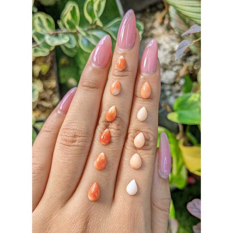 6.80 Ct. Cabochon Coral from Italy