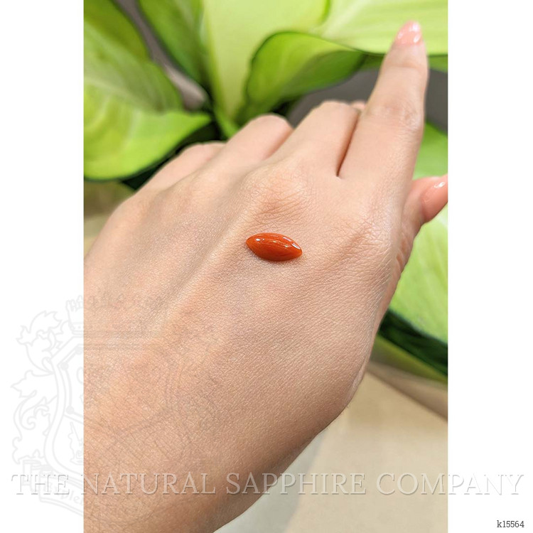 1.84 Ct. Cabochon Coral from Italy