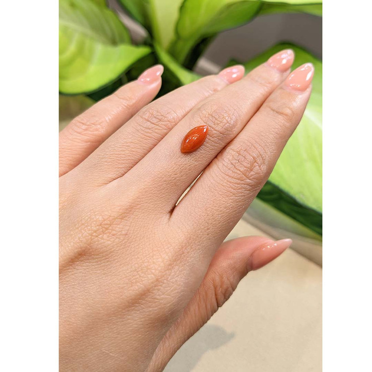 1.84 Ct. Cabochon Coral from Italy