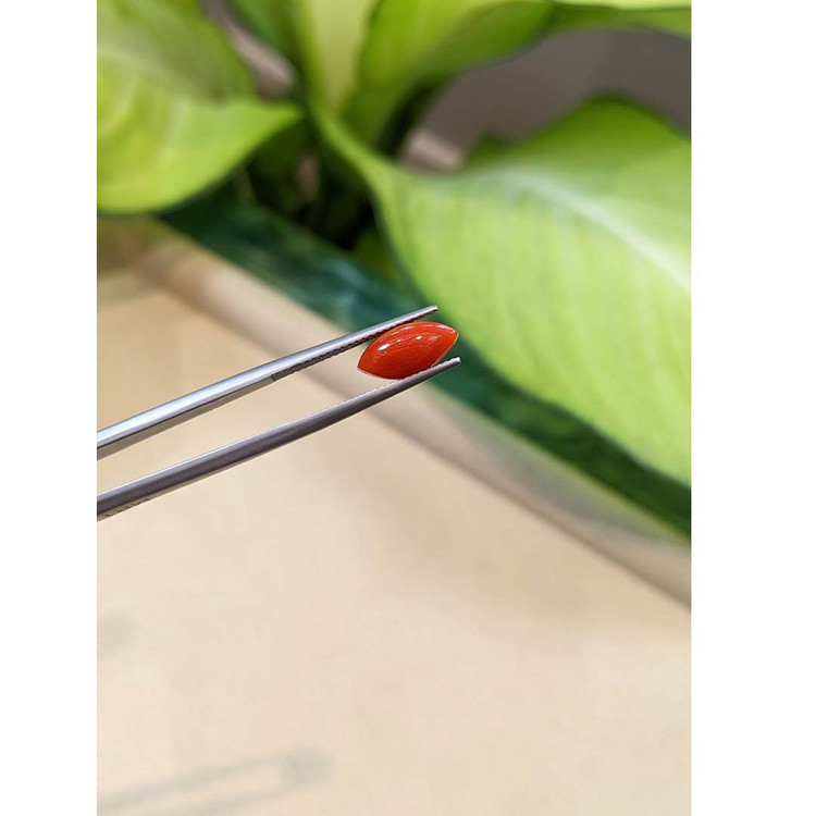 1.84 Ct. Cabochon Coral from Italy