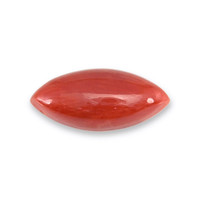 3.08 Ct. Cabochon Coral from Italy Video