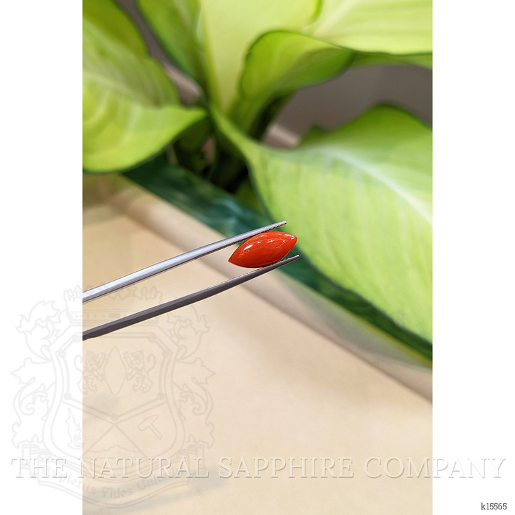 3.08 Ct. Cabochon Coral from Italy