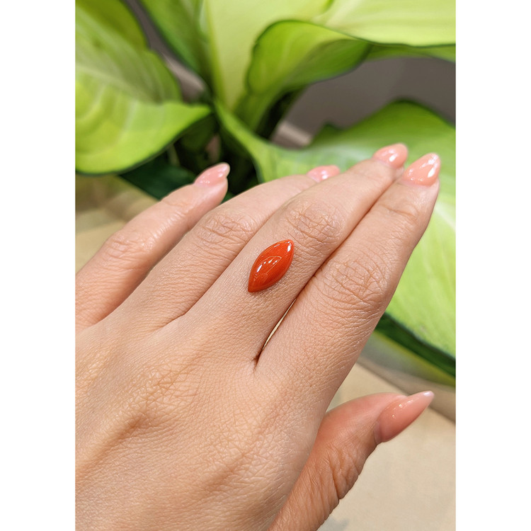 3.08 Ct. Cabochon Coral from Italy