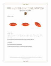 0.66 Ct. Cabochon Coral from Italy Appraisal