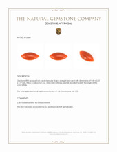 0.66 Ct. Cabochon Coral from Italy Appraisal