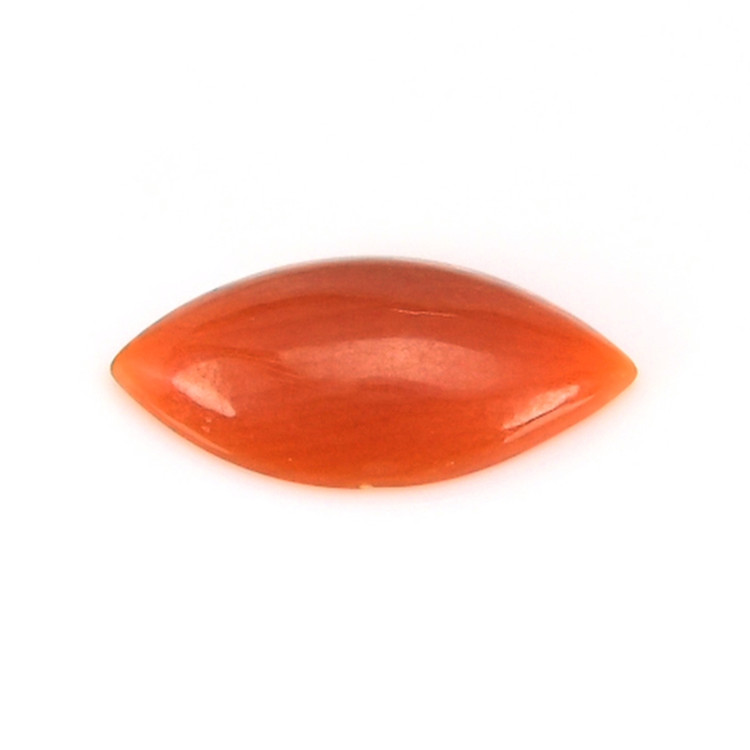 0.66 Ct. Cabochon Coral from Italy