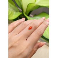 0.66 Ct. Cabochon Coral from Italy Life Style