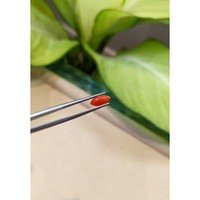 0.66 Ct. Cabochon Coral from Italy Life Style