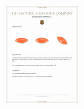 0.36 Ct. Salmon (Orange) Cabochon Coral from Italy Appraisal
