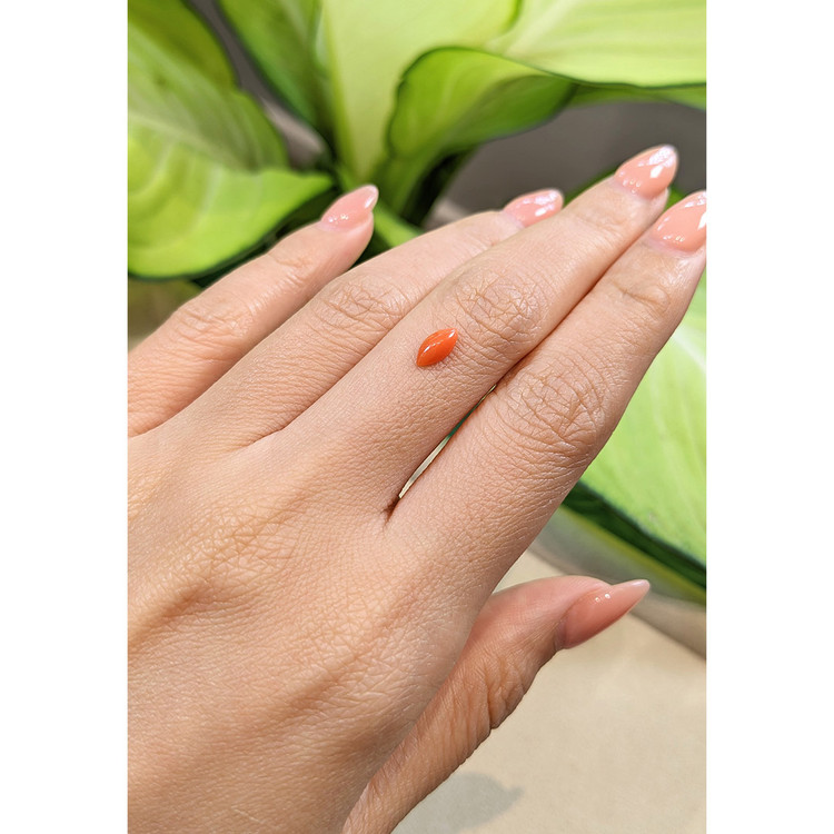 0.36 Ct. Cabochon Coral from Italy