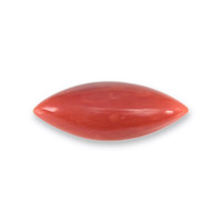 5.52 Ct. Cabochon Coral from Italy Video